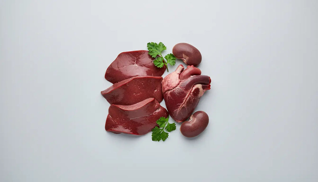 Organ meat benefits 2026: Nährstoffdichte pro Portion