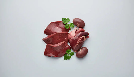 Organ meat benefits 2026: Nährstoffdichte pro Portion