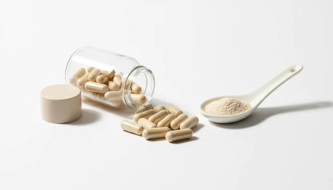 Organ-Kapseln für Hormonbalance: Transparenz & Tagesdosis