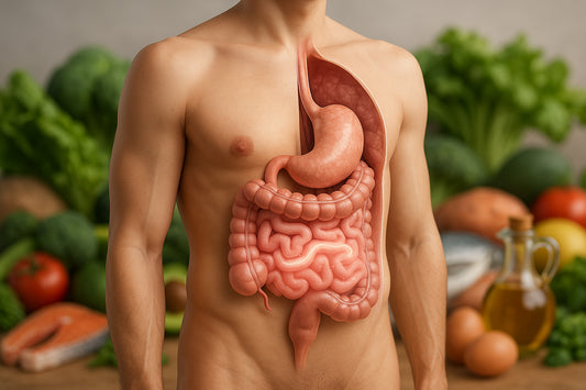 Leaky Gut Ernährung: Symptome, Ursachen und Tipps