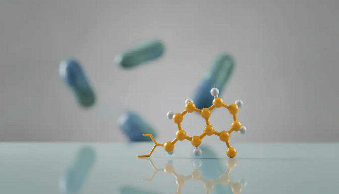 Cholesterin und Testosteron-Synthese: Was wirklich zählt