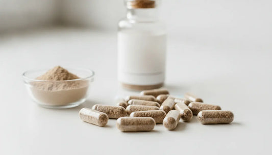 Organ-Supplements ohne Magnesiumstearat: kurze Zutatenliste