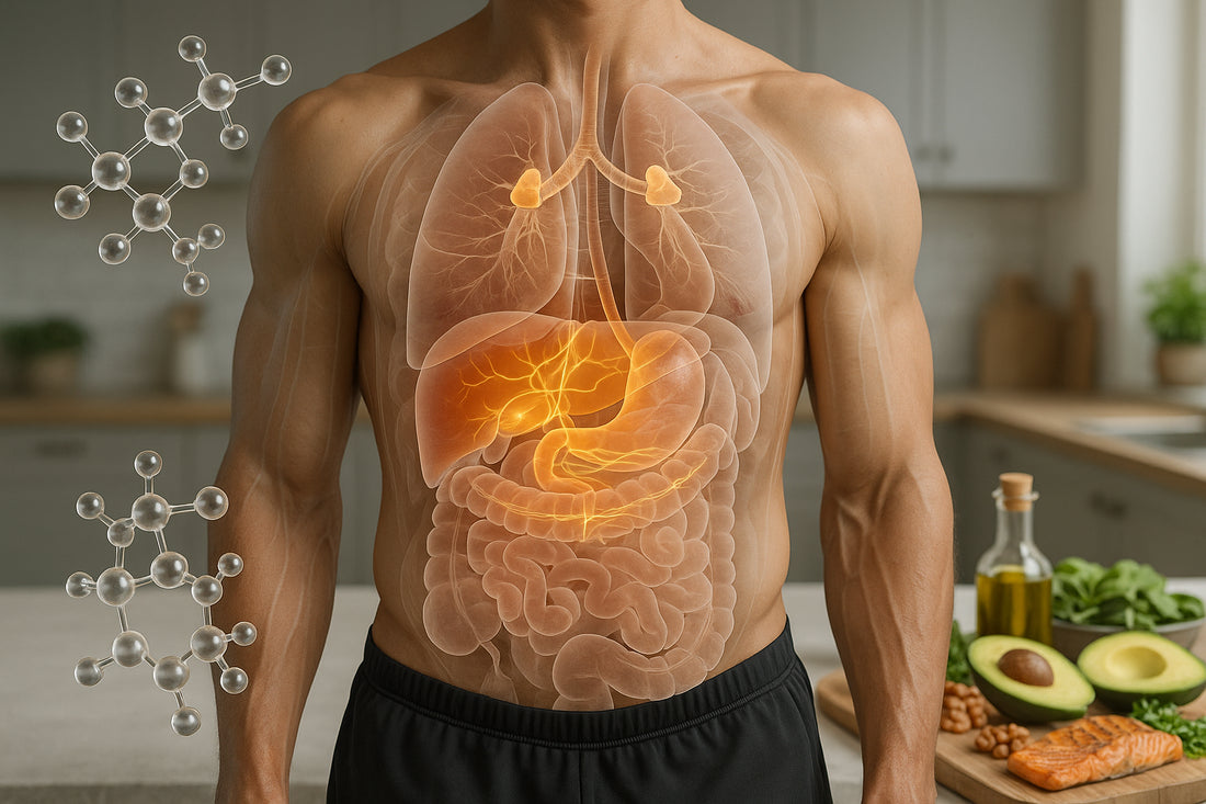 Cholesterin und Testosteron: Einfluss von Ernährung
