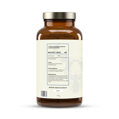 MÄNNERSACHE BEEF TESTICLES – 100% Deutsche Stierhoden Kapseln aus dem Allgäu – Male Performance Supplement mit natürlicher Stierkraft für aktive Männer [240 Kapseln]